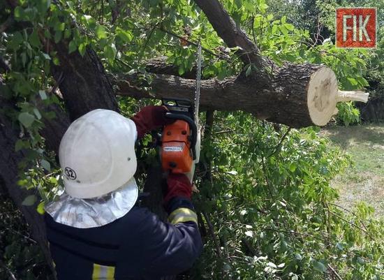 На Кіровоградщині рятувальники 3 рази залучались до надання допомоги по розпилюванню й прибиранню аварійних дерев