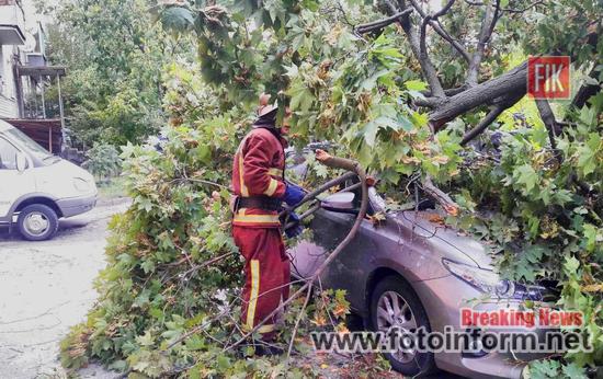 На Кіровоградщині дерево впало на легковий автомобіль