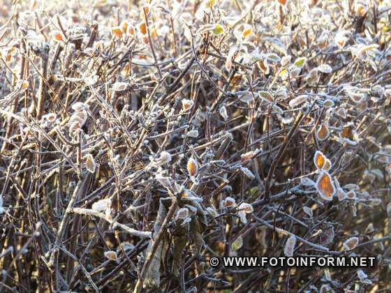 Як сьогодні мороз гарно прикрасив Кропивницький , фото ігоря філіпенка