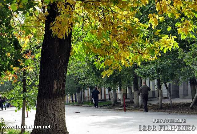 Цього року осінь у Кропивницькому по-особливому красива та захоплива. 