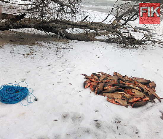 Факт правопорушення на острові Цибульницької затоки Кременчуцького водосховища було задокументовано під час спільного рейду 4 січня. У чоловіка вилучено більше 90 штук риби загальною вагою 82 кг та 3 риболовецькі сітки.