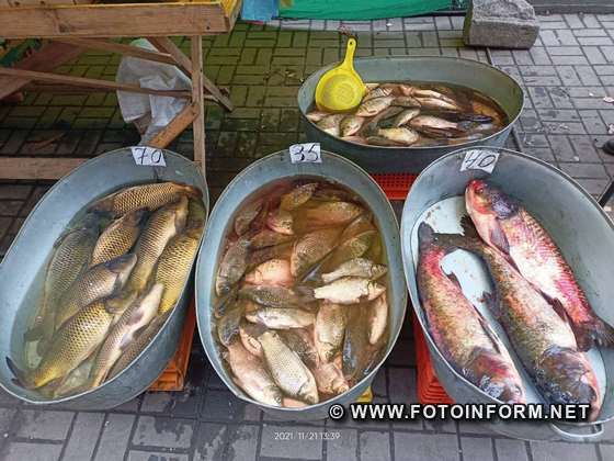 У Кропивницькому в центрі міста продавали рибу невідомого походження (ФОТО)