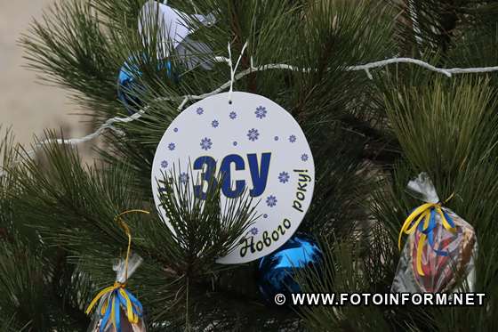 12 різдвяних дерев.прикрасили у Кропивницькому , фото ігоря філіпенка