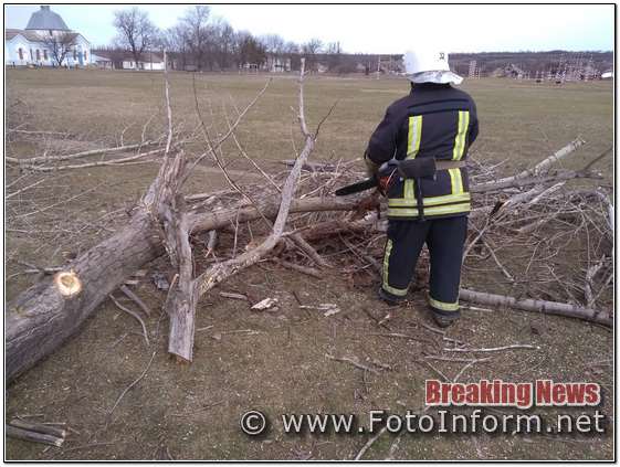 На Кіровоградщині розпиляли та прибрали аварійні дерева