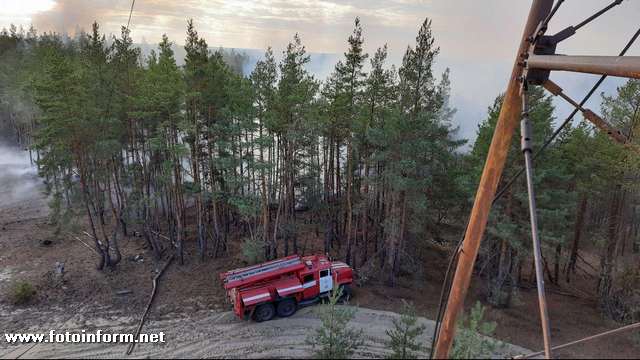 Як вогнеборці Кіровоградщини долають лісові пожежі на Луганщині (ФОТО)