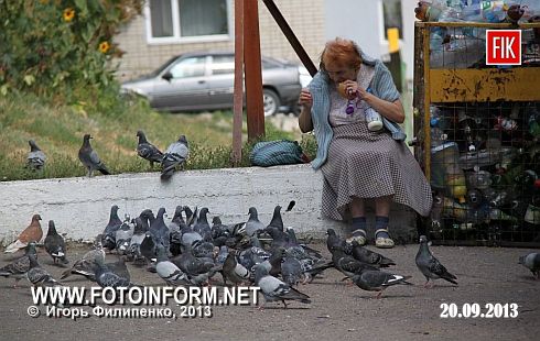 Такой вопрос возникает, когда видишь, что в Кировограде довольно много развелось голубей.