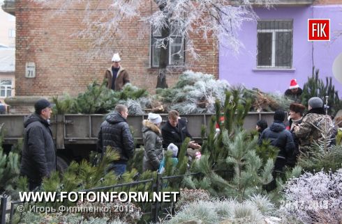Кировоград: елки на дом и напрокат (фоторепортаж)