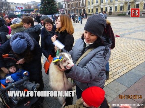 Кировоградцы собрались на площади, чтобы помочь воинам (фоторепортаж)
