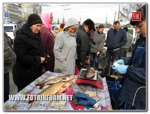 Сегодня, 28 марта, в центре Кировограда проходит ярмарок., фото Игоря Филипенко