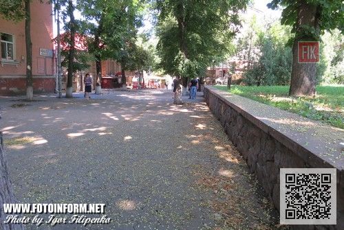 Кировоград: на улице Дворцовой скоро можно будет просто отдохнуть (ФОТО)