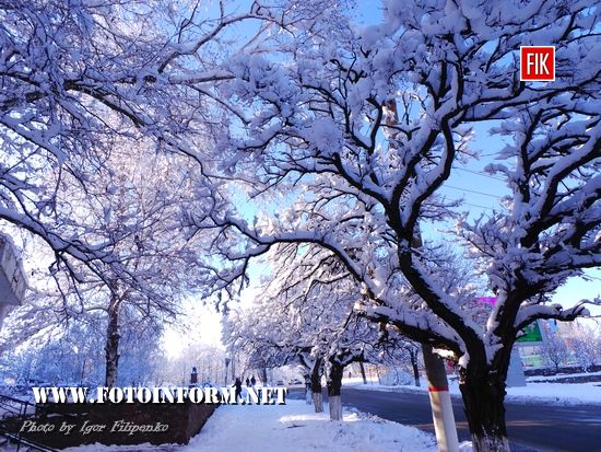 Зимова казка: фото засніженого Кропивницького