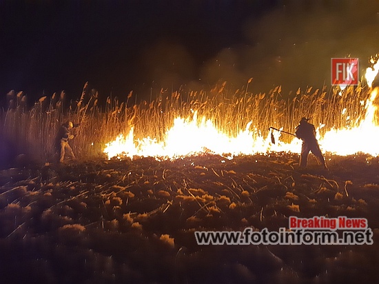 Минулої доби ліквідовано 8 пожеж, на відкритих територіях Кіровоградщини, ФОТО-інформаційний портал FOTOINFORM.net