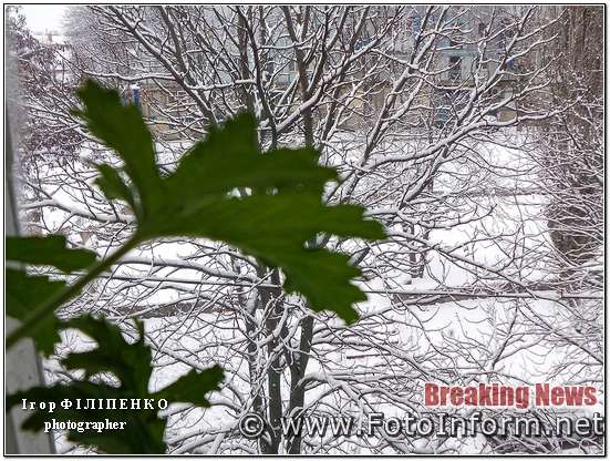 У Кропивницькому випав перший сніг, фото игоря филипенко