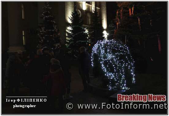 Кропивничанам сподобалася новорічна фотозона (ФОТО), фото Игоря филипенко