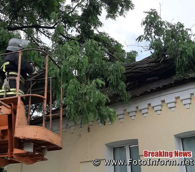 Упродовж доби, що минула, пожежно-рятувальні підрозділи Кіровоградської області 11 разів залучались до надання допомоги по спилюванню та прибиранню аварійних дерев.