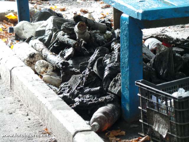 Сьогодні, 5 жовтня, комунальним службам довелося прочищати від сміття вуличну каналізацію, повідомляє FOTOINFORM.NET