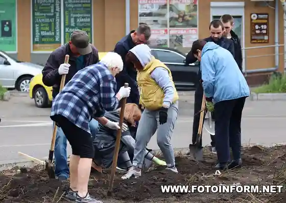 Забуяє розарій: на Кіровоградщині переселенці з Донеччини висадили 500 кущів троянд