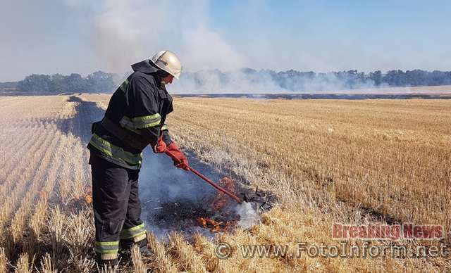 На Кіровоградщині загасили 4 пожежі сухої рослинності та пожнивних залишків