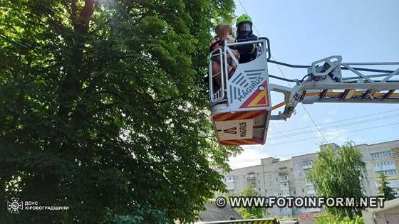 31 травня о 09:28 до Служби порятунку «101» надійшло повідомлення про пожежу на вул. Козацькій м. Олександрія.