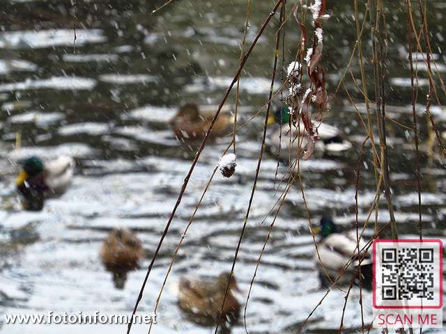 кропивницький, зима2021, санчата, кропивницький сніг, фото Ігоря Філіпенка,