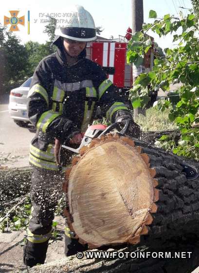 Протягом доби, що минула, рятувальники ГУ ДСНС в області надавали допомогу по усуненню перешкод, що створювали для життєдіяльності населення 27 аварійних дерев та гілок. 