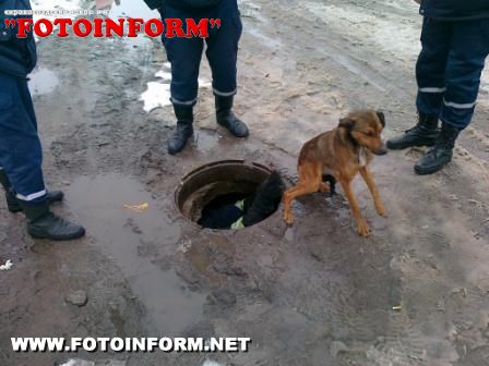 Про це Інтернет-виданню «FotoInform» повідомили у прес-службі УМНС України в області