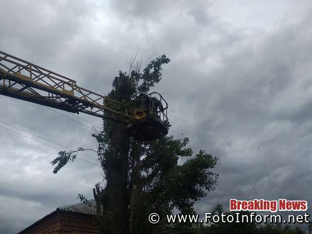 3 червня о 14:35 до Служби порятунку «101» надійшло повідомлення про те, що по вул. Бобринецький шлях обласного центру дерево загрожує падінням на житловий будинок.