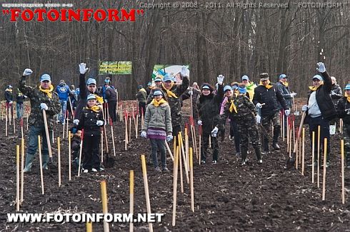 Акция Будущее леса в твоих руках - озеленили 230 га Кировоградщины (ФОТО)