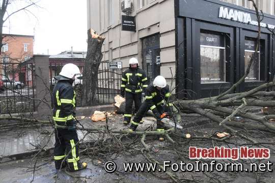 У Кропивницькому через сильний вітер упало дерево та травмувало жінку 