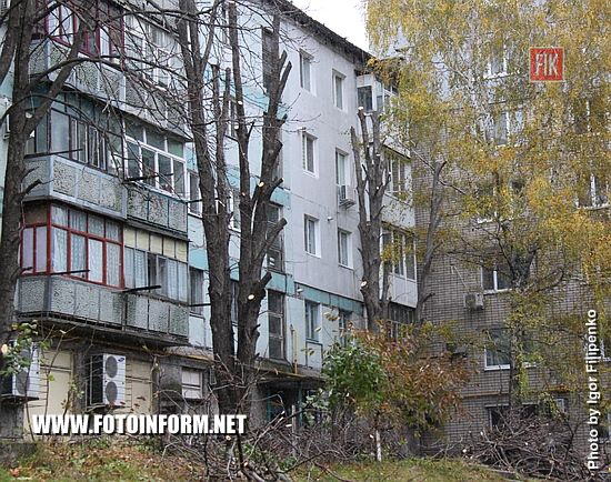 Многим жителям Кропивницкого не нравится, что деревья в городе обрезают практически до стволов.