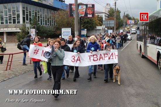 у Кропивницькому відбувся марш за права тварин