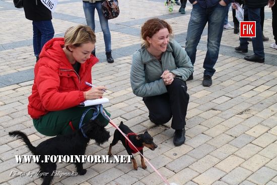 у Кропивницькому відбувся марш за права тварин