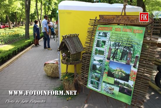 У Кропивницькому відкрився музейно-туристичний фестиваль