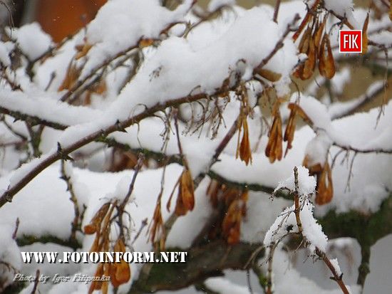  невеликий фоторепортаж зимовою погоди у Кропивницькому
