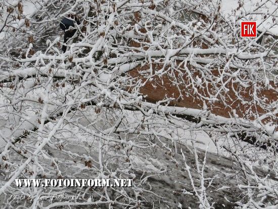  невеликий фоторепортаж зимовою погоди у Кропивницькому