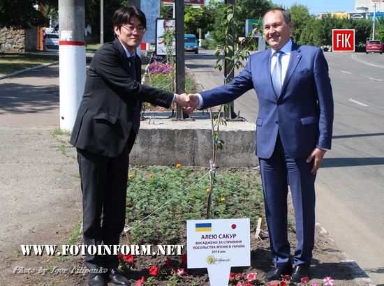 Сьогодні в області побував другий секретар посольства Японії в Україні, пан Ясухіро Ікута. У Кропивницькому він оглянув алею сакур, облаштовану біля скверу борців за волю України.