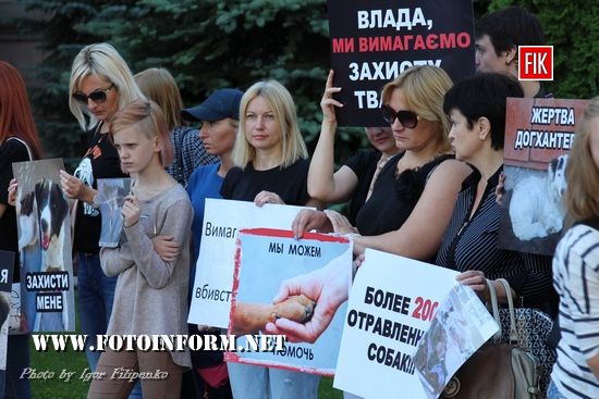 У Кропивницькому біля міської ради провели флешмоб, 30 хвилин мовчання, фото Ігоря філіпенка