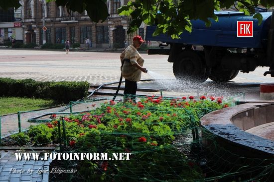 У Кропивницькому в спеку поливають квіти