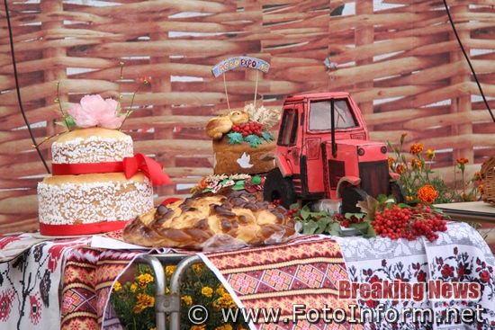 Сьогодні 27 вересня, на «Покровському ярмарку», який проходить в рамках Міжнародної агропромислової виставки AGROEXPO-2018, відбувся конкурс на найбільший гарбуз - «Гарбуз-велетень».