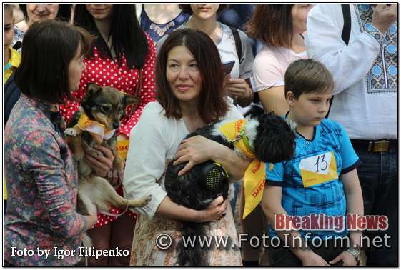 Кропивницький, «Кубок Барбоса-2019» у фотографіях, фото филипенко