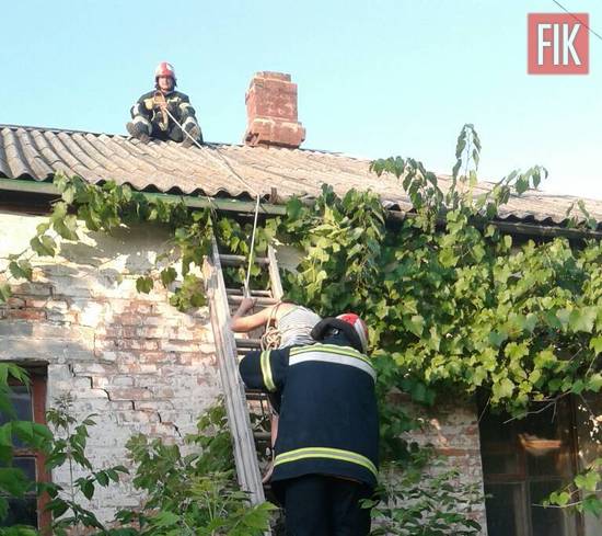 На Кіровоградщині жінка не могла спуститись з даху власного будинку (ФОТО)