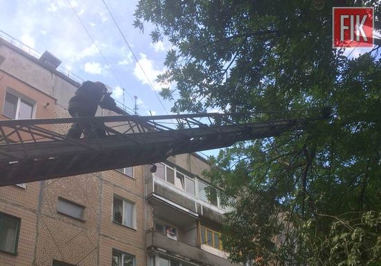 16 липня о 13:49 до Служби порятунку «101» надійшло повідомлення, що на вул. Пацаєва, що в обласному центрі потрібна допомога по розпилюванню та прибиранню дерева, яке розчахнулось.