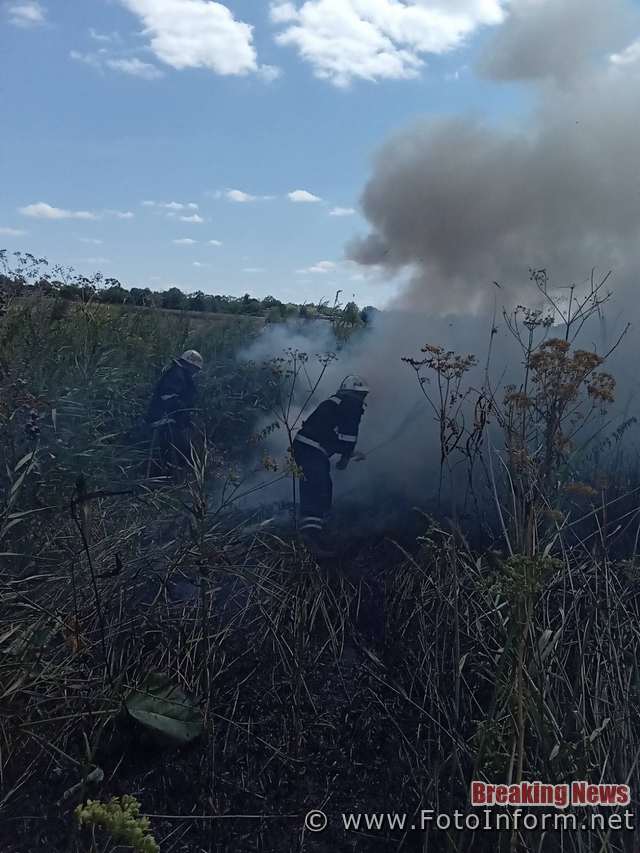 За минулу добу до Служби порятунку «101» надійшло 6 повідомлень про пожежі, які виникли на відкритих територіях Кіровоградської області.