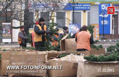 В Кировограде на площади им. Кирова вовсю идет установка новогодней елки.