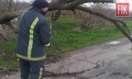 За минулу добу рятувальники 20-ї Державної пожежно-рятувальної частини м. Долинської двічі виїжджали для надання допомоги по розпилюванню та прибиранню дерев, які впали на дорогу: 