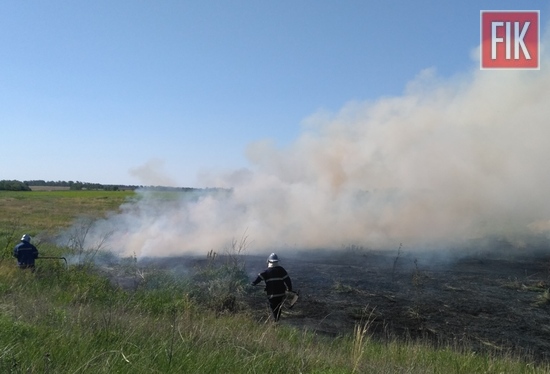 За добу, що минула, на території Кіровоградської області зафіксовано 9 пожеж сміття та сухої рослинності на відкритих територіях.