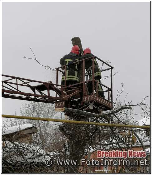 Кропивницькому, рятувальники, надали допомогу, по прибиранню аварійного дерева