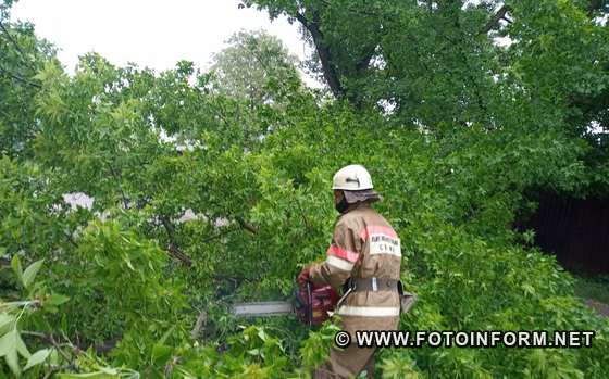 рятувальники розпилювали та прибирали аварійні дерева