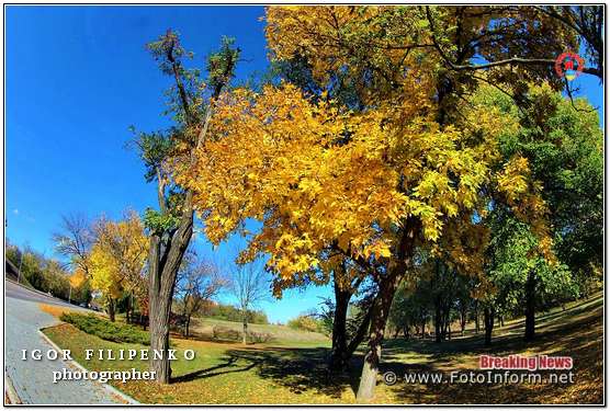 Краса золотої осені у Кропивницькому (фоторепортаж), фото филипенко