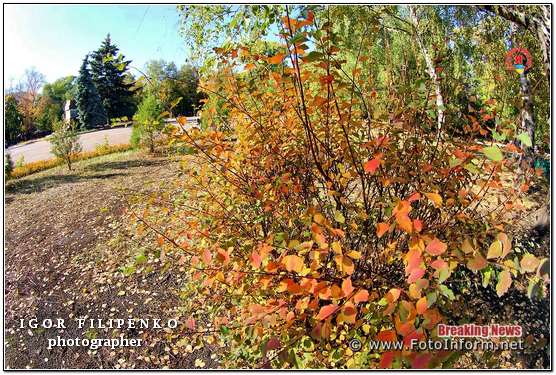 Краса золотої осені у Кропивницькому (фоторепортаж), фото филипенко
